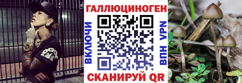 Галлюциногенные грибы мухоморы  купить   omg как зайти  Зеленогорск 